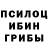 Галлюциногенные грибы прущие грибы King`s Tiger