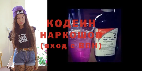 дмт Краснослободск