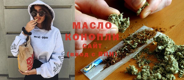 дмт Краснослободск