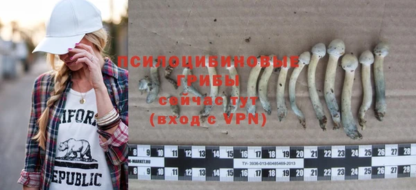 дмт Краснослободск
